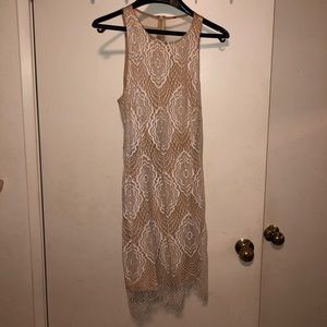 NEW Lace Scallop Dress
